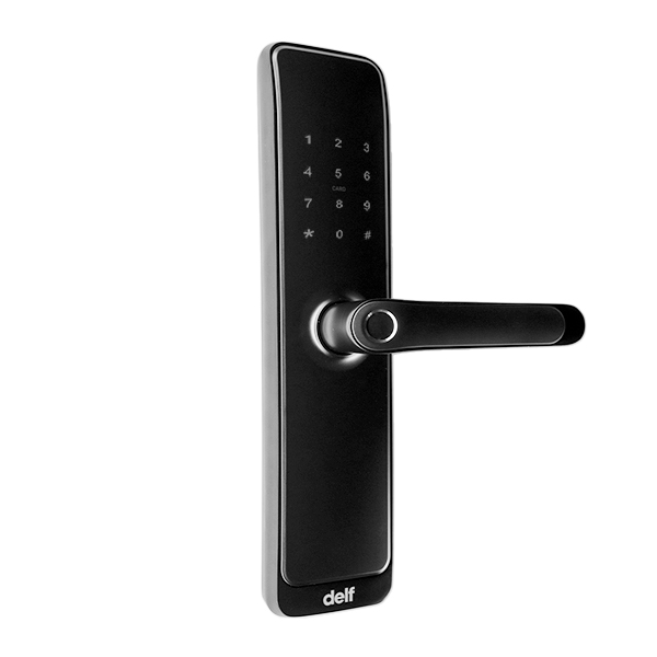 Motion Bound Pictures Videographer